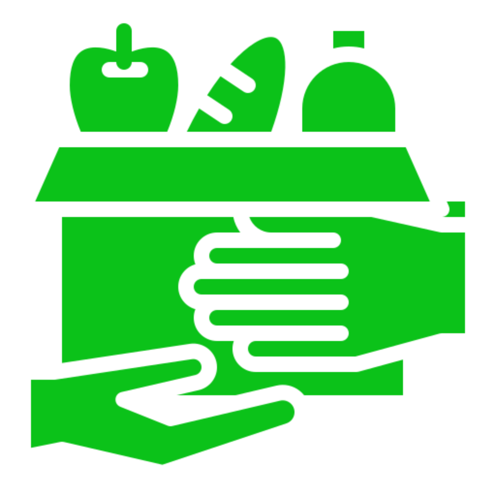 Food Bank Support